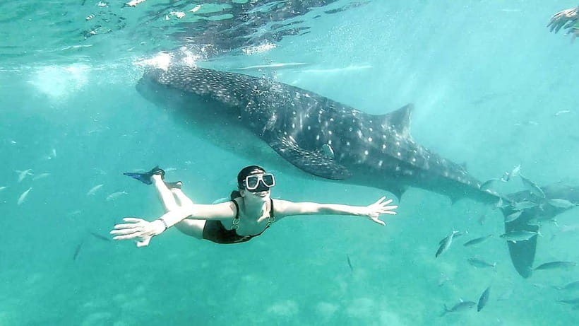 Cebu Shared Tour: Whaleshark Swimming & Kawasan Canyoneering - Key points to know before booking
