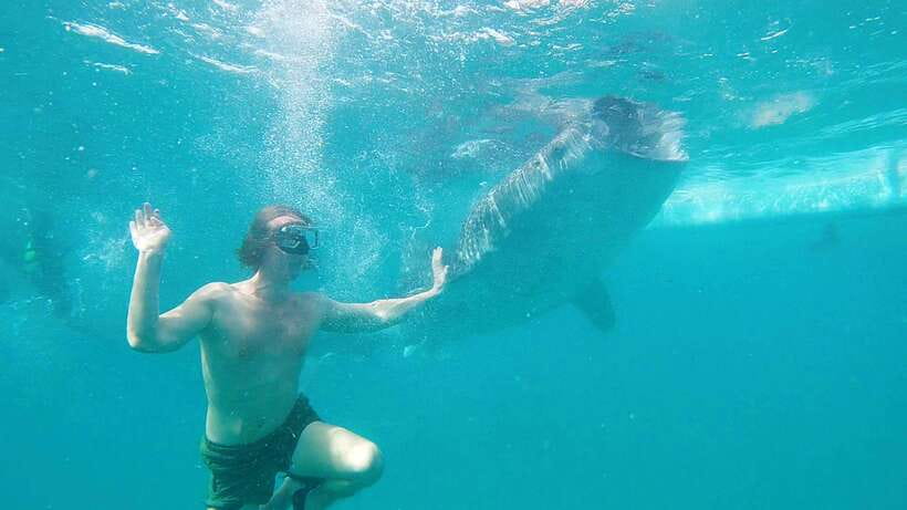 Cebu Shared Tour: Whaleshark Swimming & Kawasan Canyoneering - Kawasan canyoneering, with gear included