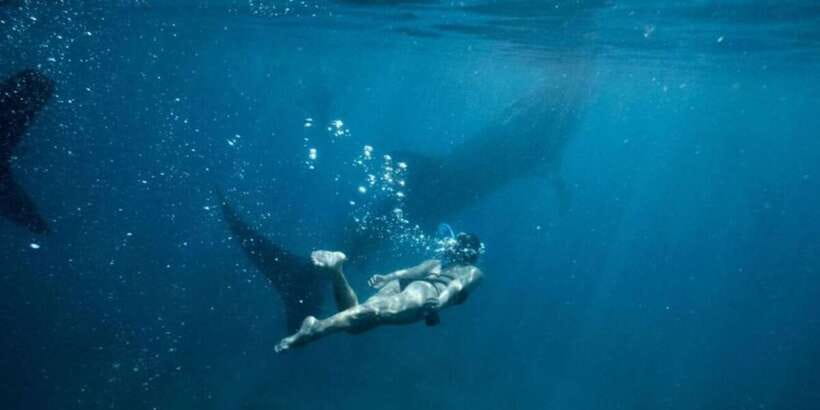 Cebu: Sumilon Sand Bar, Whale Sharks & Sardines Snorkeling - The early start, crowds, and road time