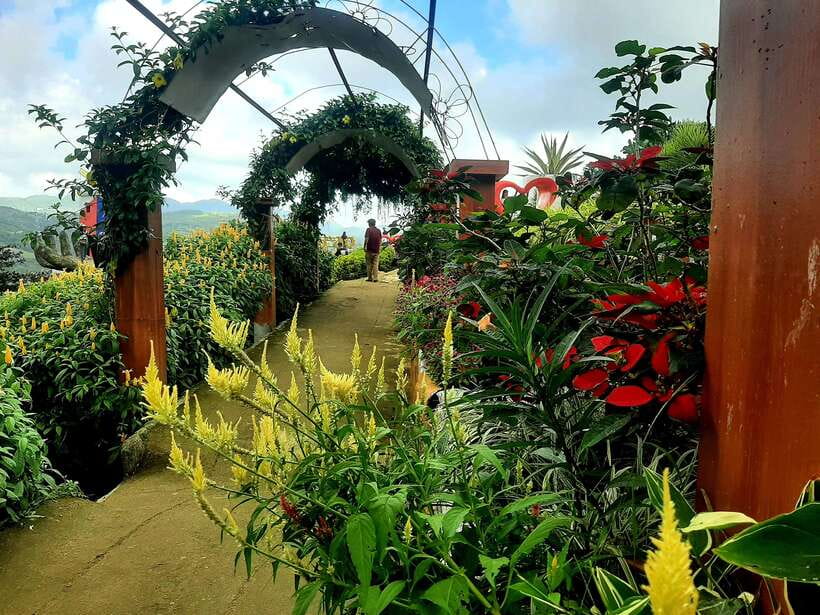 Cebu: Twin City Experience City Heritage & Mountain Escapes - Five details that shape the day