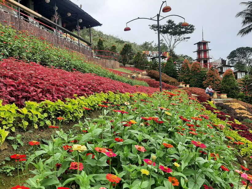 Cebu: Twin City Experience City Heritage & Mountain Escapes - Sachiko’s Little Kyoto and Sirao Garden