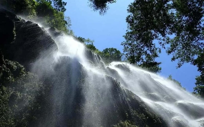 Cebu: Whale Shark, and Sumilon Sandbar and Inambakan Falls - Why this Cebu day trip works