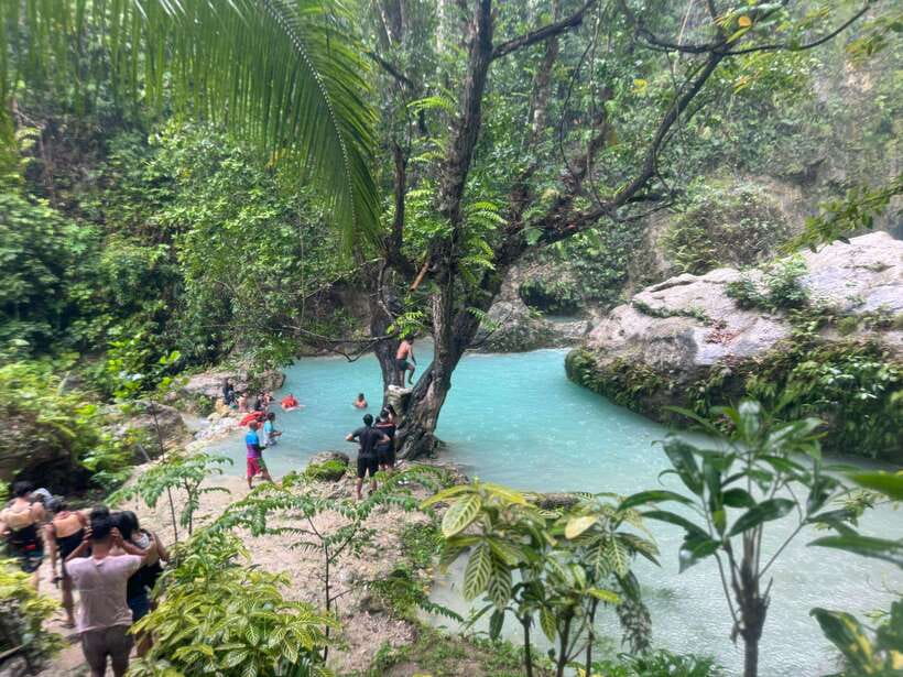 Cebu: Whale Shark, Inambakan Falls & Moalboal Sardine Tour - Why this Cebu day trip works