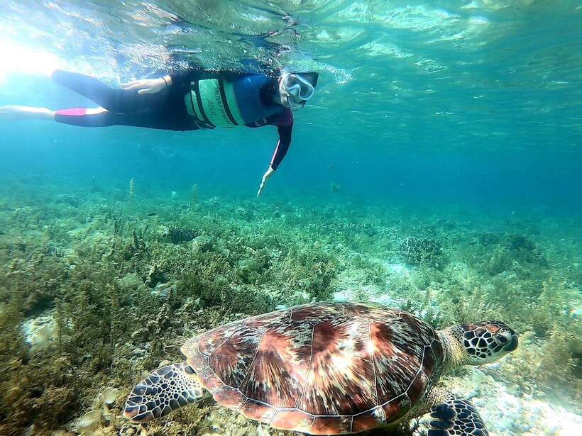 Cebu: Whale Shark, Inambakan Falls & Moalboal Sardine Tour - Inambakan Falls: the day’s best reset