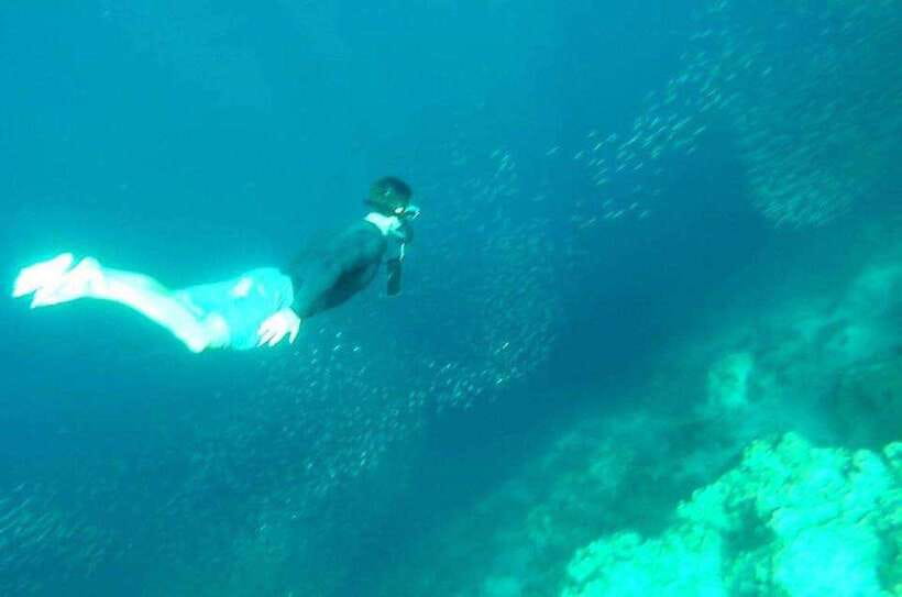 Cebu: Whale Shark, Inambakan Falls & Moalboal Sardine Tour - What is included for $123?
