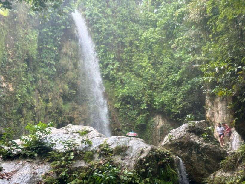 Cebu: Whale Shark, Inambakan Falls & Moalboal Sardine Tour - Oslob whale sharks: thrilling, organized, and crowded