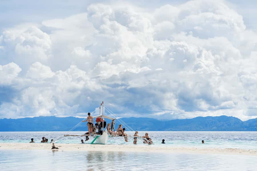 Cebu: Whale Shark, Monkey Sanctuary, & Moalboal Snorkel Tour - Who should book this tour?