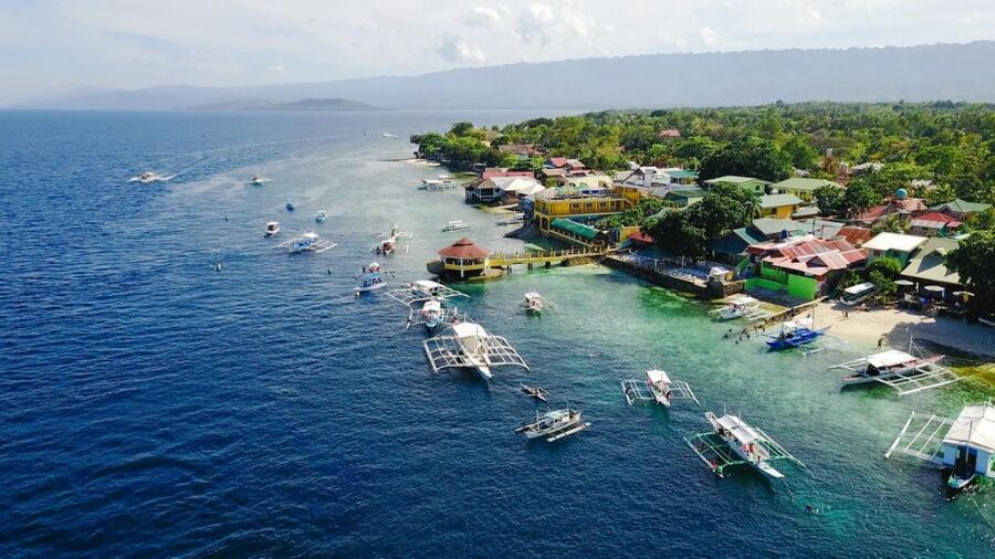 Cebu: Whale Shark, Monkey Sanctuary, & Moalboal Snorkel Tour - The monkey sanctuary adds a lighter wildlife stop