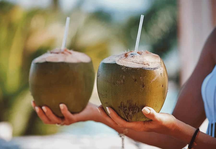 Cebu: Whale Shark, Monkey Sanctuary, & Moalboal Snorkel Tour - Food stops and small local tastes