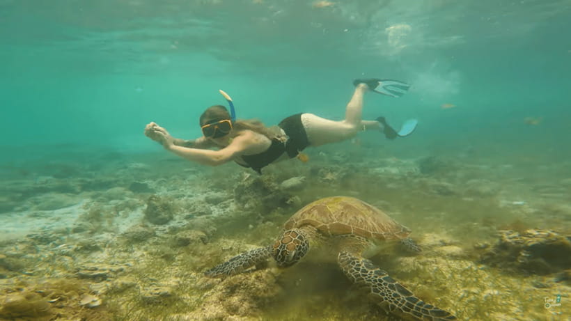 Cebu: Whale Shark Oslob and Moalboal Snorkeling Adventure - Moalboal brings the better snorkeling rhythm