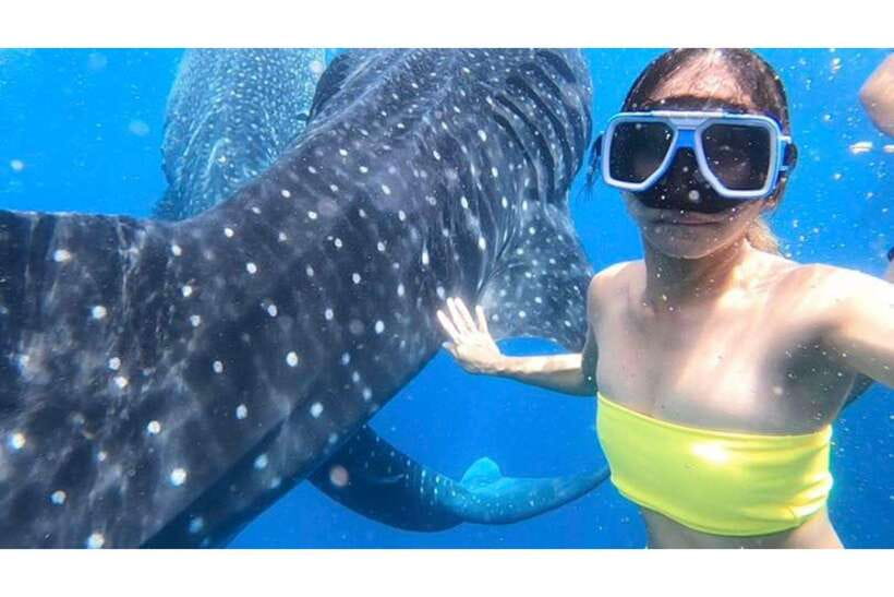 Cebu: Whale Shark Swim and Kawasan Canyoneering Group Tour - Key points at a glance
