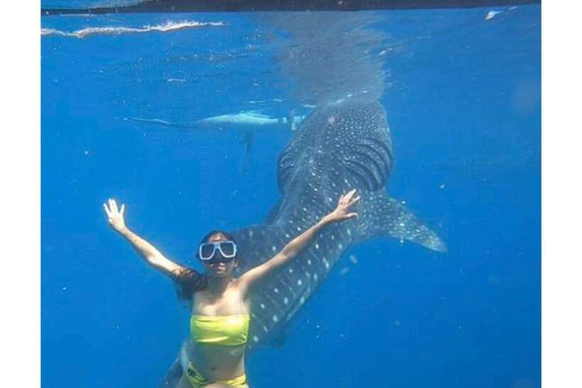 Cebu: Whale Shark Swim and Kawasan Canyoneering Group Tour - Kawasan Falls, the final reward