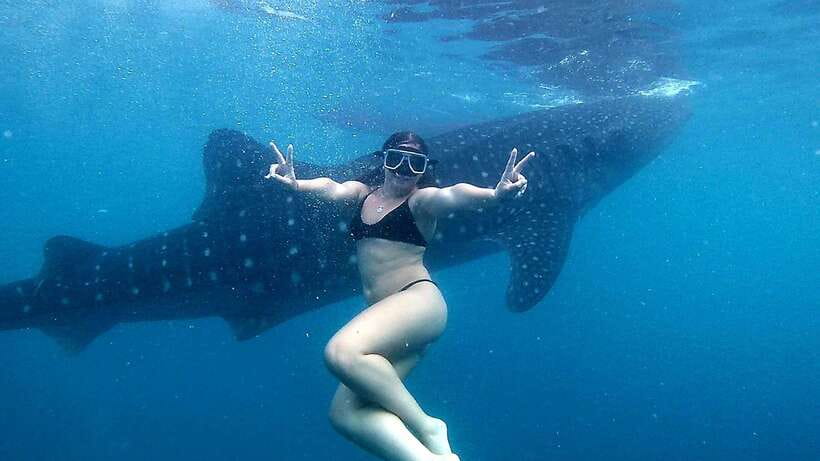 Cebu: Whale Shark Swim, Kawasan Falls & Moalboal Sardine Run - Lunch at the Beachfront Base Camp