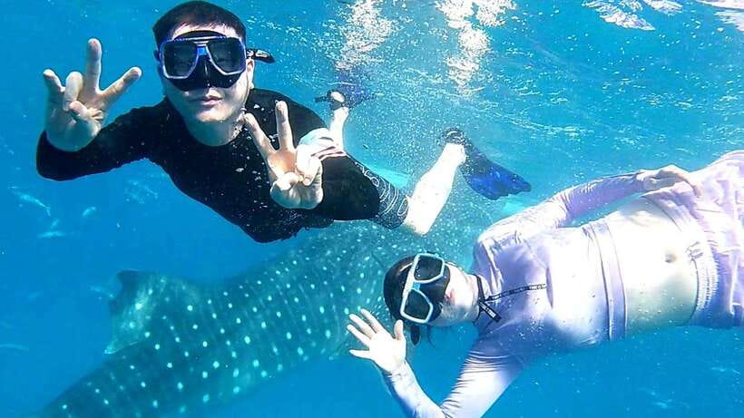 Cebu: Whale Shark Swim, Kawasan Falls & Moalboal Sardine Run - Kawasan Falls After the Whale Shark Morning