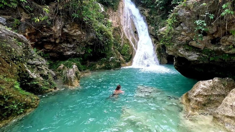 Cebu: Whale Shark Swimming & Inambakan Falls Adventure - Meeting the whale sharks at Oslob