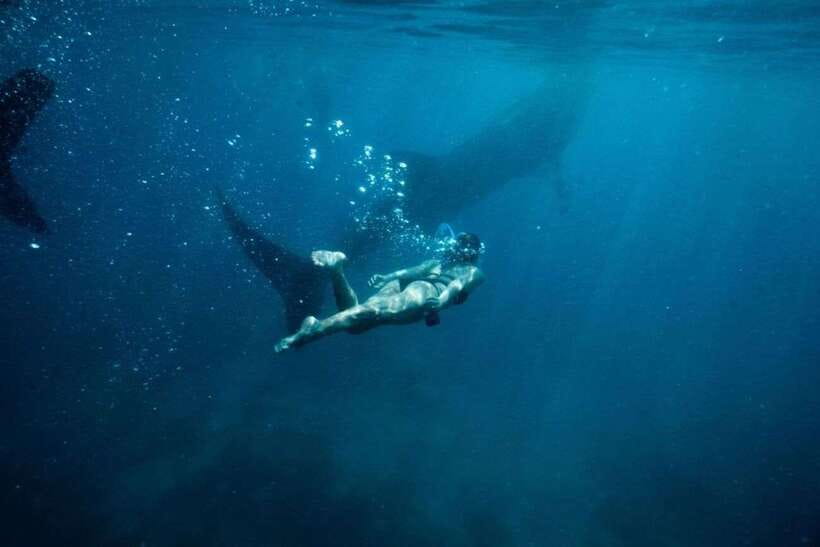 Cebu Whale Shark Swimming & Kawasan Canyoneering Group Tour - The road to Badian and the lunch reset