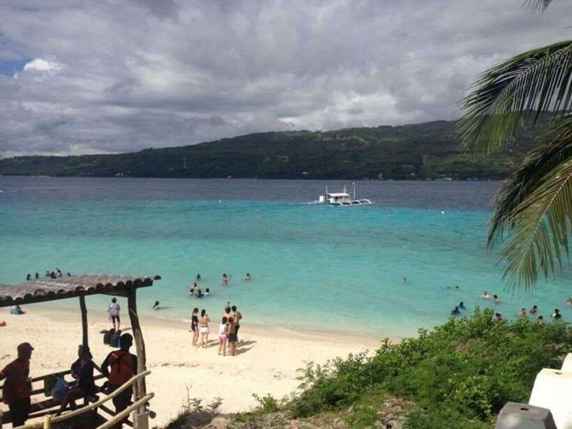 Cebu: Whale Shark Swimming, Sumilon Island and Kawasan Falls - Five things to know before you book