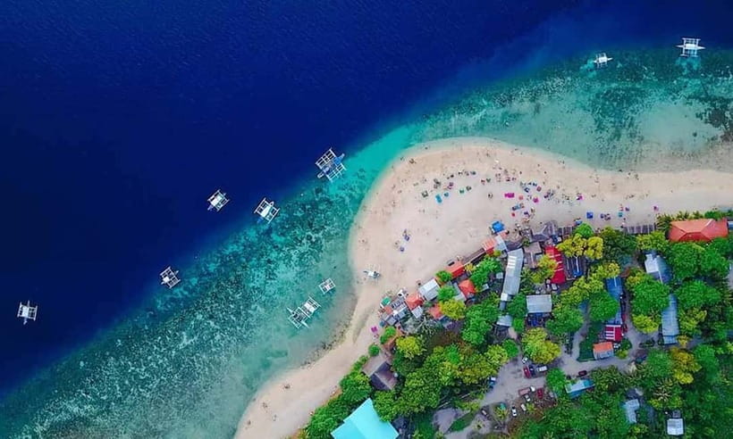 Cebu: Whale Shark, Tumalog, Sumilon, and Moalboal Tour - Key points to know before booking