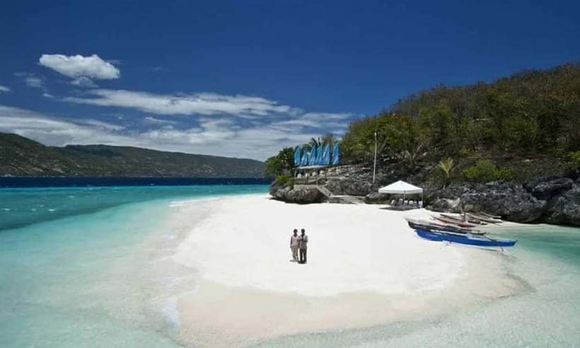 Cebu: Whale Shark, Tumalog, Sumilon, and Moalboal Tour - Moalboal and the sardine run