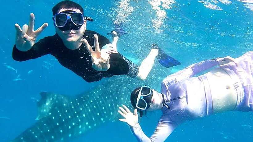 Cebu: Whale Shark, Tumalog Waterfall, and Moalboal Tour - Practical preparation for a smoother day