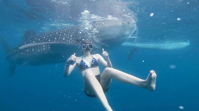 Cebu: Whale Shark Watching and Canyoneering Group Tour - Meeting the whale sharks in Oslob