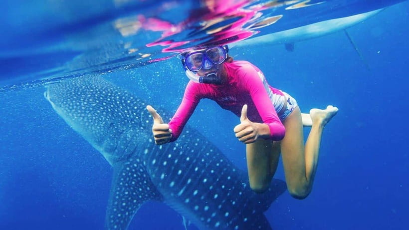 Cebu: Whale Shark Watching and Canyoneering Group Tour - Is this Cebu tour worth booking?