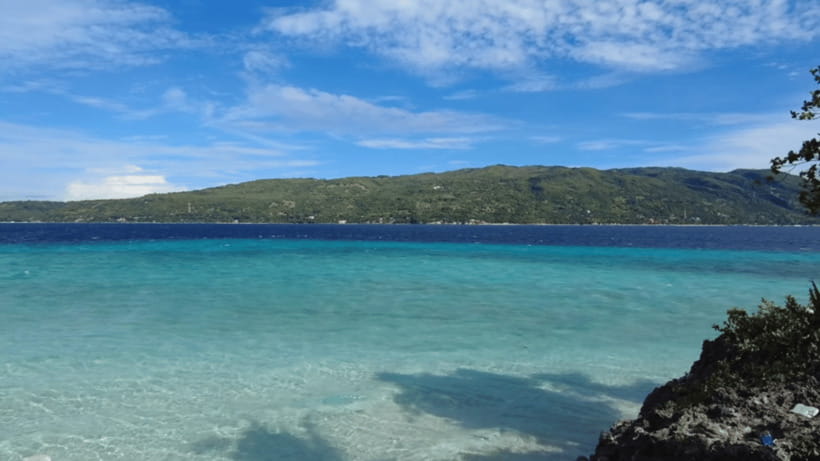 Cebu: Whale Shark Watching, Tumalog Falls & Sumilon Island - Key Points at a Glance