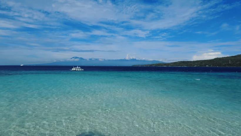 Cebu: Whale Shark Watching, Tumalog Falls & Sumilon Island - Why This Cebu Combination Works