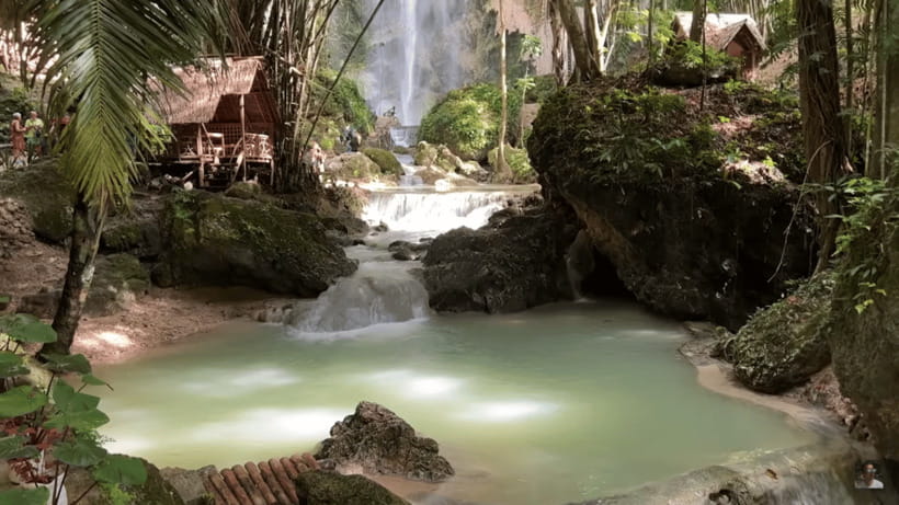 Cebu: Whale Shark Watching, Tumalog Falls & Sumilon Island - How to Make the Day Run Smoothly