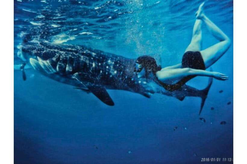 Cebu:Whale Shark, Waterfall, and Sardine Run Group Tour+Meal - Inambakan Falls brings a freshwater reset