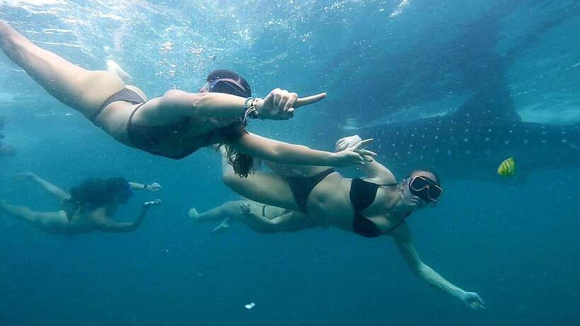 Cebu: Whale Sharks, Ka-Treasure Water Terraces & Simala Tour - Breakfast after the water