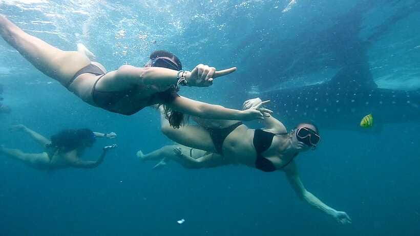 Cebu: Whale Sharks, Ka-Treasure Water Terraces & Simala Tour - Communication and the private tour setup