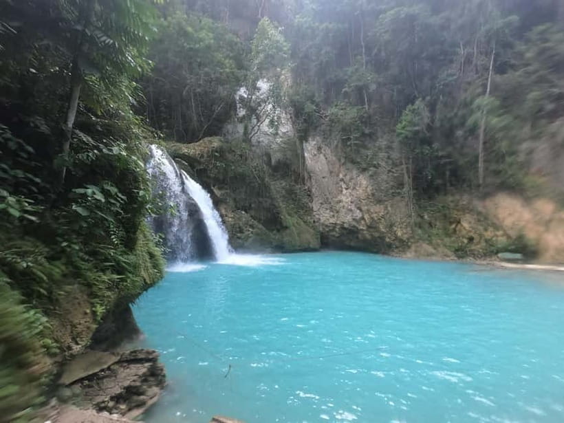 Cebu: Whale Sharks, Kawasan Falls, & Sardines Run Snorkeling - Key points to know before booking