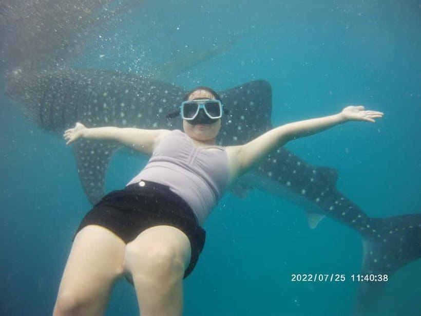 Cebu: Whale Sharks, Kawasan Falls, & Sardines Run Snorkeling - My verdict: book it for variety, not solitude