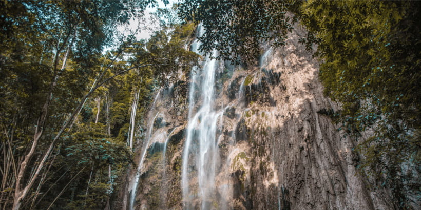 Cebu: Whale Sharks, Tumalog Falls, and Monkey Sanctuary Tour - Tumalog Falls and its curtain of water