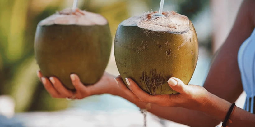 Cebu: Whale Sharks, Tumalog Falls, and Monkey Sanctuary Tour - Lunch, brunch, and a fresh coconut
