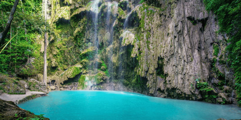Cebu: Whale Sharks, Tumalog Falls, and Monkey Sanctuary Tour - A close look at the monkey sanctuary
