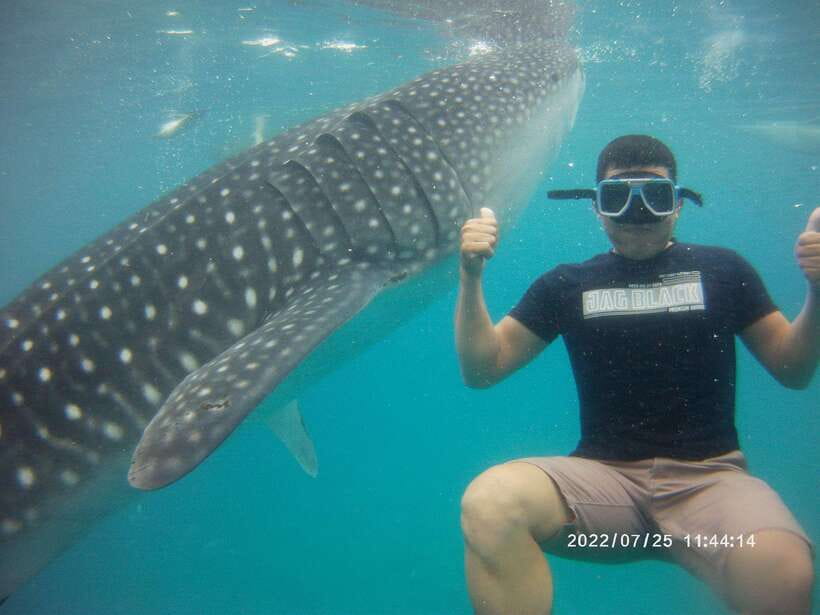 Cebu: Whaleshark Encounter, Tumalog Falls & Sumilon Sandbar - Key points at a glance