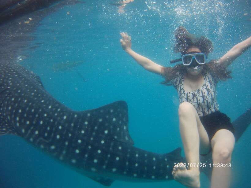Cebu: Whaleshark Encounter, Tumalog Falls & Sumilon Sandbar - Tumalog Falls beneath the forest canopy