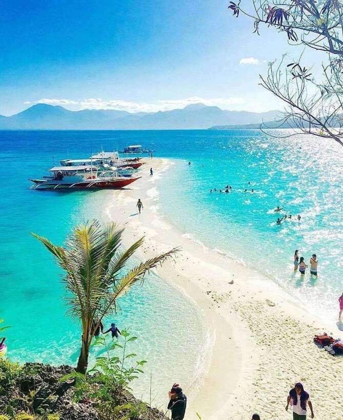 Cebu: Whaleshark Encounter, Tumalog Falls & Sumilon Sandbar - What the $126 price really covers