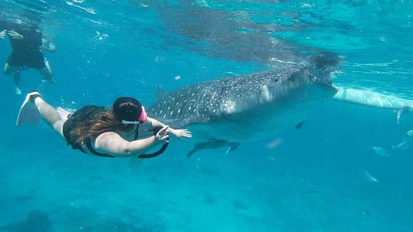 Cebu: Whaleshark Encounter, Tumalog Falls & Sumilon Sandbar - The early road to Oslob