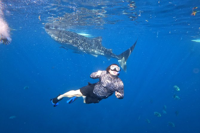 Cebu Whaleshark Tour - Sumilon Island: a welcome pause after Oslob