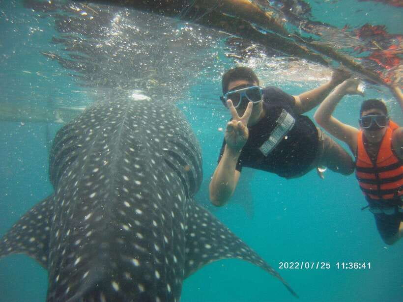 Cebu: WhaleShark , Tumalog Falls, & Sardine Run Snorkeling - Breakfast after the water