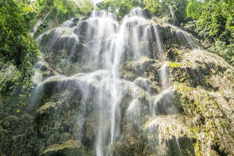Cebu: WhaleShark , Tumalog Falls, & Sardine Run Snorkeling - Moalboal’s sardine run: the day’s big visual moment