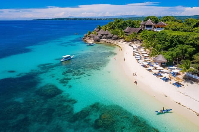 Cebu Whaleshark Watching w/ Sumilon Island Hopping - Key points to know before booking