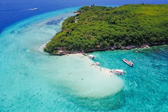Cebu Whaleshark Watching w/ Sumilon Island Hopping - Why this Cebu day trip works