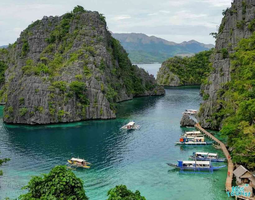 Coron: Barracuda Lake and Reef Garden Tour with Lunch - Key points at a glance