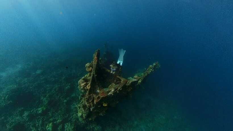 Coron: Barracuda Lake and Reef Garden Tour with Lunch - What the $45 price really includes