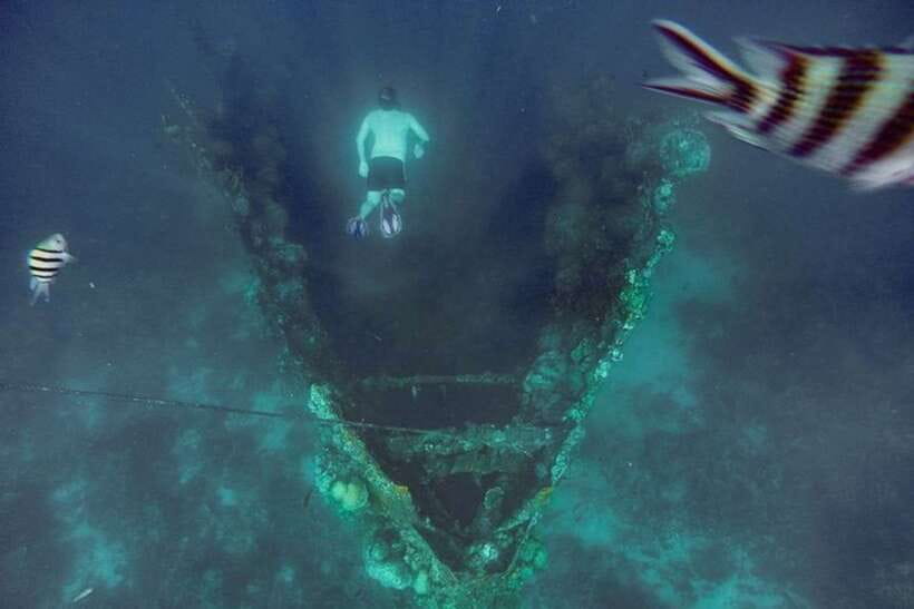 Coron: Barracuda Lake, Skeleton Wreck, Twin Lagoon Boat Tour - Barracuda Lake and the strange thermocline
