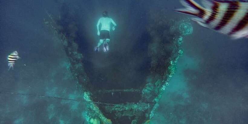 Coron: Barracuda Lake, Skeleton Wreck, Twin Lagoon Boat Tour - Reef Garden offers the clearest snorkeling